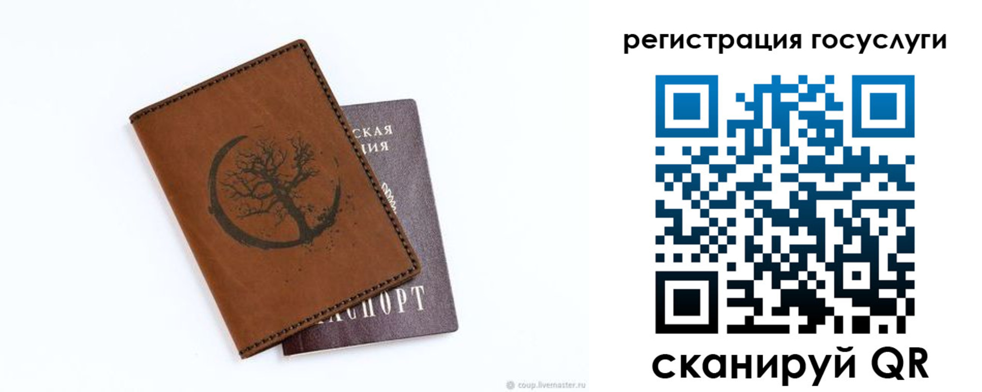 прописка для школы в Ермолино