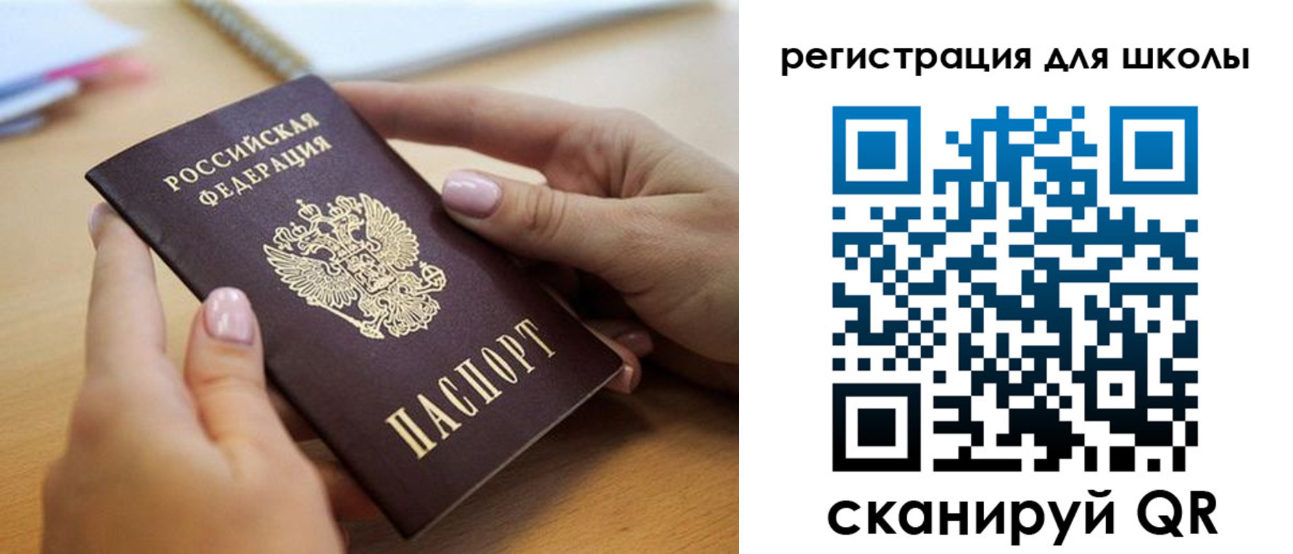 прописка в Ермолино